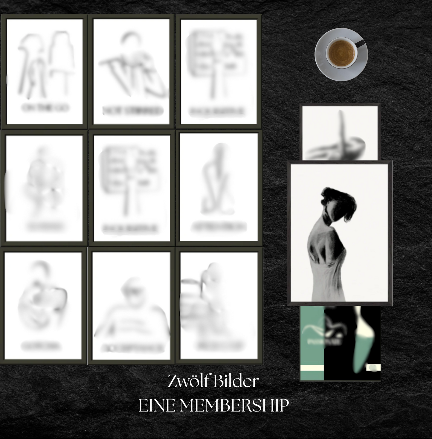 GENTLE CIRCLE - 12 CIRCLES